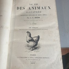 livre ancien Vie Des Animaux Illustré Oiseaux Brehm 19eme T 4