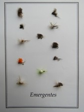 pêche mouche : lot de 12 mouches émergeantes différentes