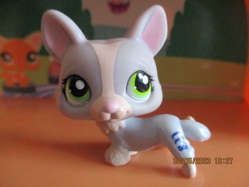 Petshop chien corgi - petshop, #1486