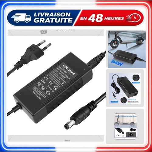 Chargeur batterie 42v - chargeur, 2a