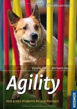 Agility: Vom ersten Hindernis