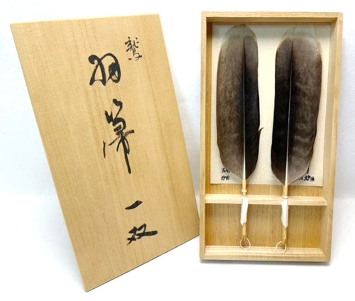 Balai cendres plumes - cendres, en