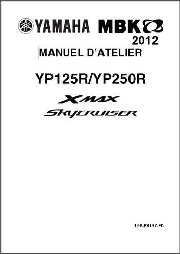 Xmax skycruiser 125 250 13 - xmax, 12-13