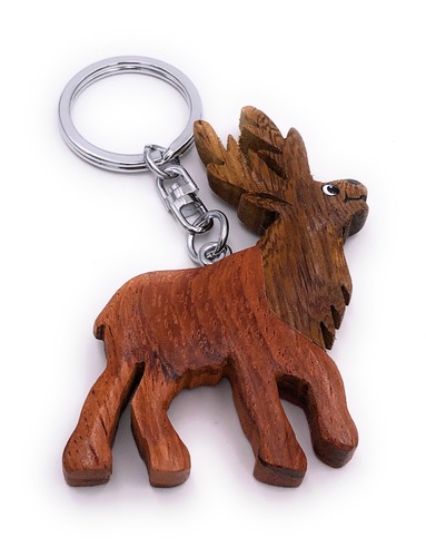 Cerf avec bois élan - avec,