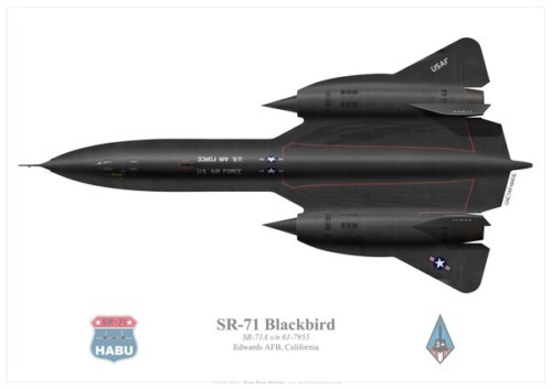 Print blackbird us air - print, blackbird,