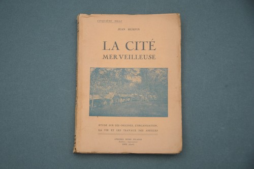 Apiculture abeilles ruche - apiculture,