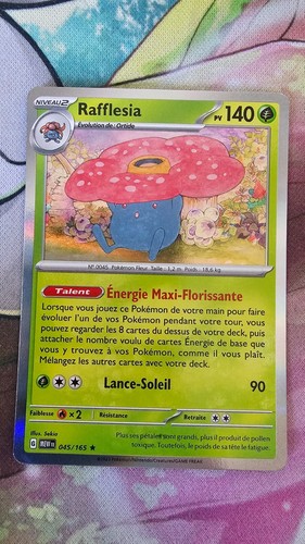 Rafflesia holo 140pv - rafflesia,