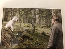 Rare photo (1) Johnny Hallyday