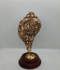 Coquillage De Conque Rituel