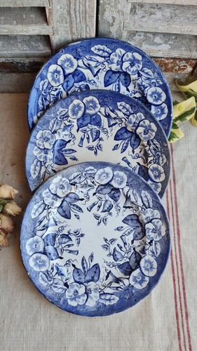 Anciennes assiettes plates - assiettes,