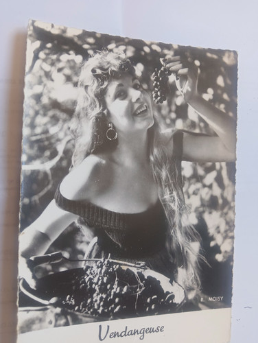 vendangeuse