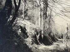 Paysage Montagne c1905 Photo Stereo Vintage Argentique P83n2