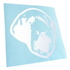 Autocollants pour Voiture