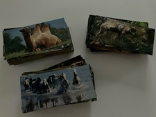 Nestlé MERVEILLES DU MONDE Lot de 128 Cartes