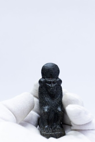 Marvelous baboon god - baboon,