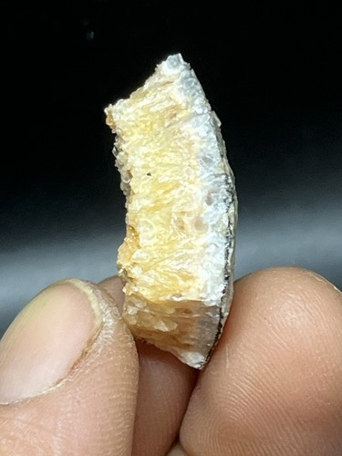 3 cm very rare - 1.18'',