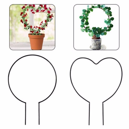Supports plantes grimpantes - de,