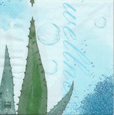 Lot de 2 Serviettes en papier Plante grasse Decoupage Collage Decopatch