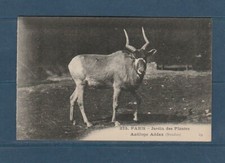 b CPA  Paris jardin des