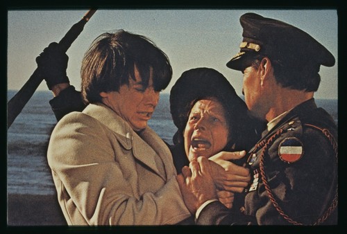 Diapositive harold and maude - harold,