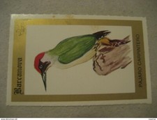 Barcanova Oiseau Charpentier