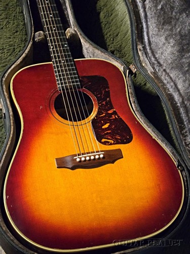 Guild 1971 bluegrass - d-50,