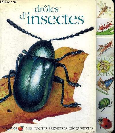 Drôles insectes collection - d'insectes,