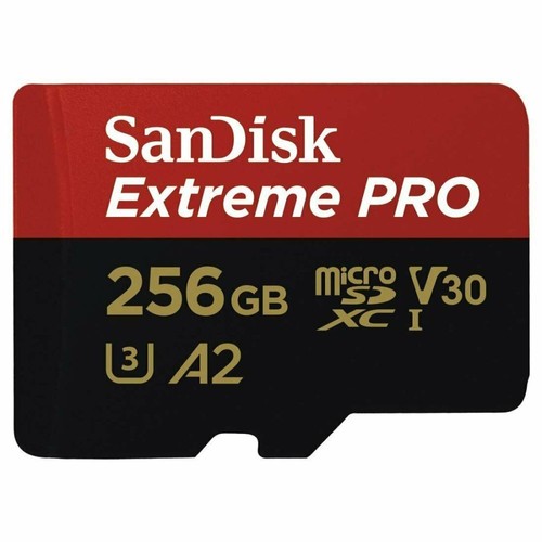 Sandisk 256go extreme - 256go, pro