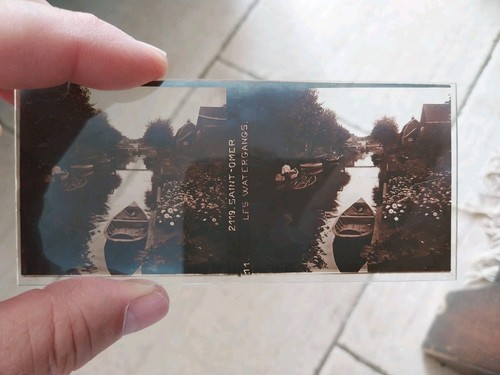 Plaque stereoscopique verre - stereoscopique,
