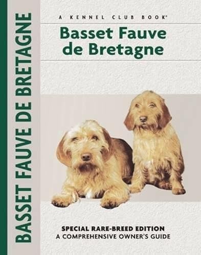 Basset fauve bretagne - basset,