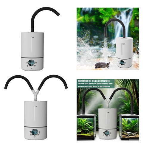 Humidificateur pour reptiles