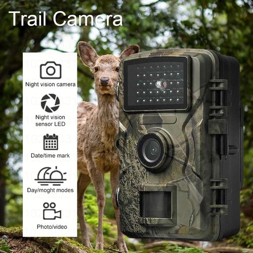 Caméra chasse à - caméra, de