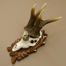 Copie De Bois De Cerf Record