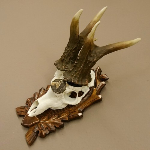 Copie bois cerf record - de,