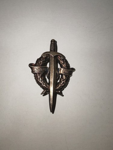 Insigne militaire broche - insigne,