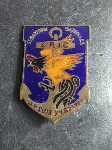 Tdm ric régiment - ric,