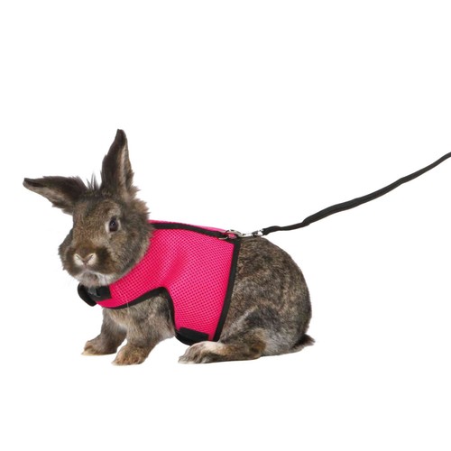 Harnais doux avec laisse - 1,2, m