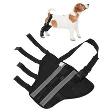 Attelle  arrière droite chien