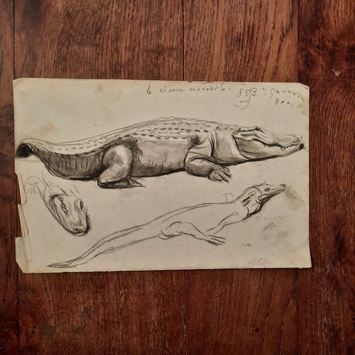 Dessin ancien animalier fond - ancien,