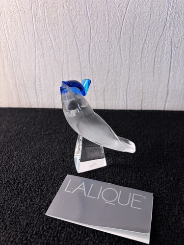 Oiseau geai bleu - oiseau,