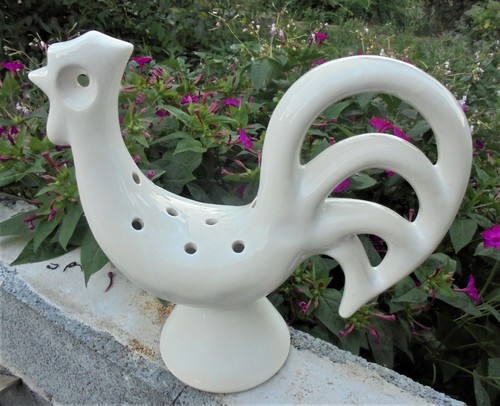Tres grand pique fleurs - pique, coq