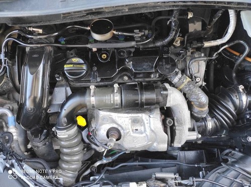 Ford transit tourneo - ford,
