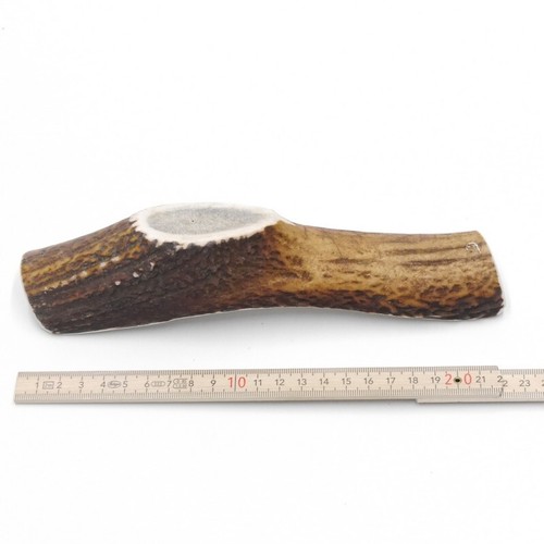 Pièce friandise pour - pièce, chien
