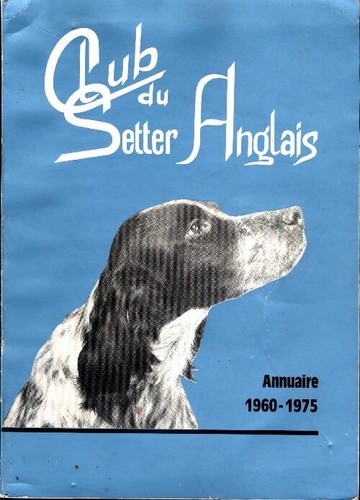 Club setter anglais - club,