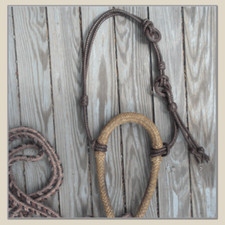 Bosal Hanger bridle braided