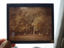AUTOCHROME 1890 FORET A
