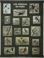 Les oiseaux du parc Circa 1990