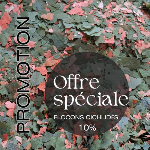 Promo flocons pour - promo,