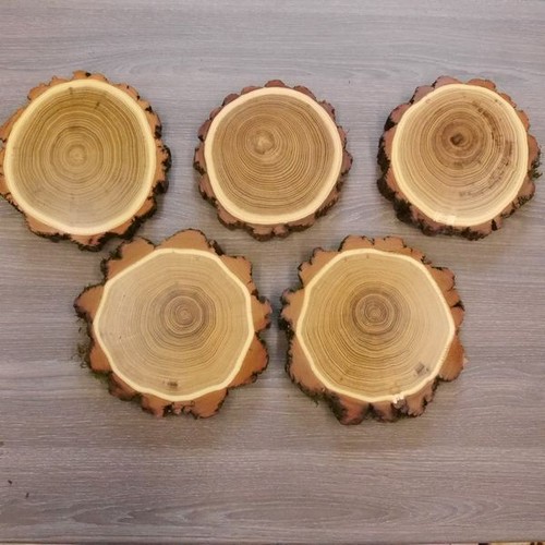 Aucun keiler 14 5 cm - 5, x