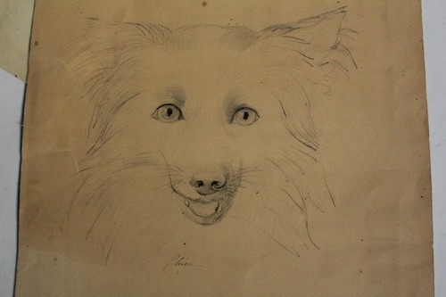 Dessin original chien spitz - chien,